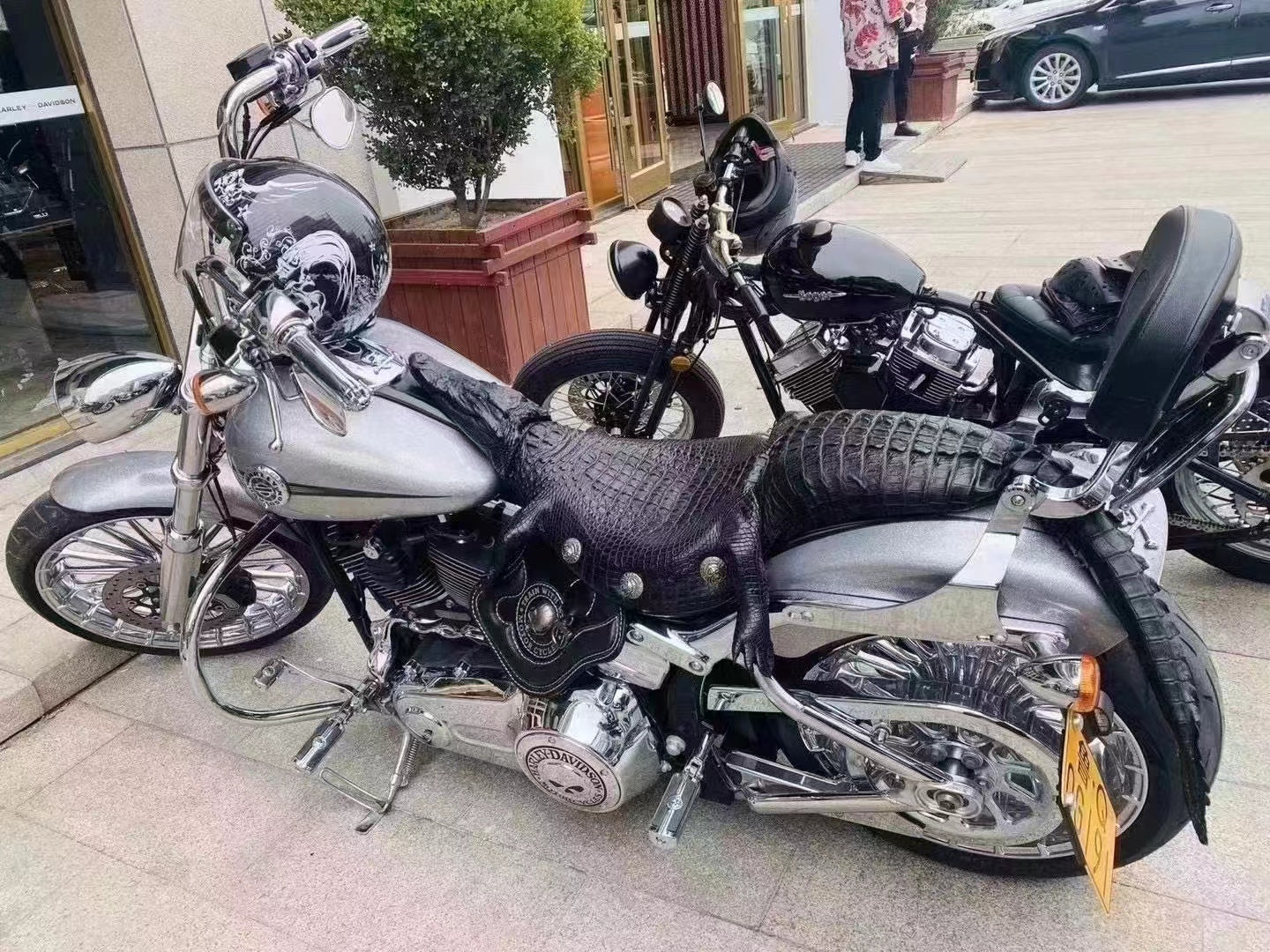 Alligator Hand Made Unique Cool Motorcycle Seat